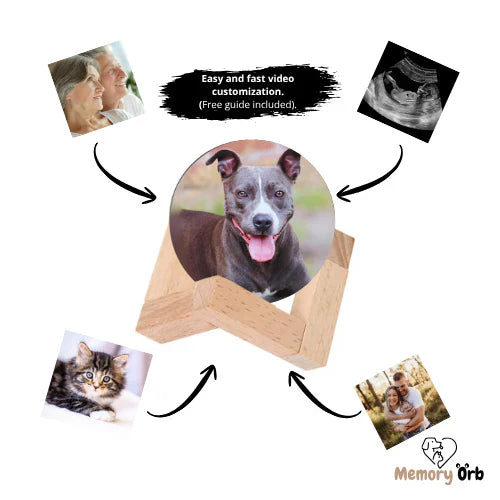 Customizable Video Glass Ball Lamp