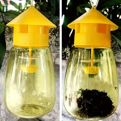 Fruit Fly Trap for Kitchen & Garden Pest Control